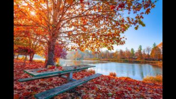 [ID: fg31K4G3_x8] Youtube Automatic