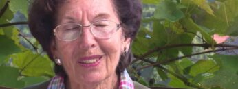 [ID: gnnPVWUhElU] Youtube Automatic