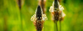 [ID: h5Ir9bCrkOQ] Youtube Automatic