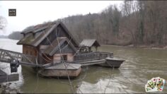 [ID: hR1jaJPkhS8] Youtube Automatic