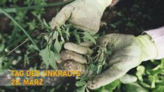 [ID: jDqcHZuvu8w] Youtube Automatic