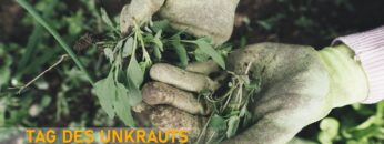 [ID: jDqcHZuvu8w] Youtube Automatic