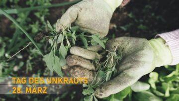 [ID: jDqcHZuvu8w] Youtube Automatic