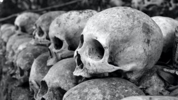 [ID: Qgg4lpOHhS0] Youtube Automatic