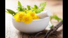 [ID: rSGu8gXxznE] Youtube Automatic