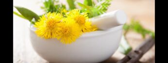 [ID: rSGu8gXxznE] Youtube Automatic