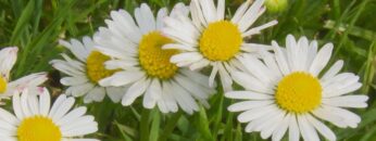 [ID: rvbDWug8FIw] Youtube Automatic