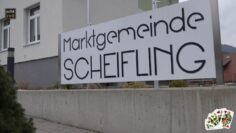 [ID: RWTuJNfdjEk] Youtube Automatic