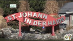 [ID: S1X2pObrG3I] Youtube Automatic