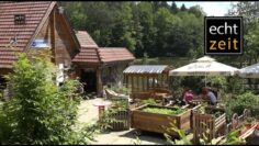 [ID: ynr0TSTmFH4] Youtube Automatic