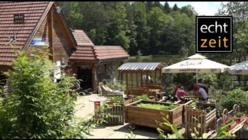 [ID: ynr0TSTmFH4] Youtube Automatic