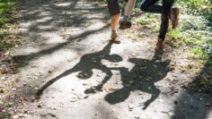 [ID: zkRfEYCL5AU] Youtube Automatic