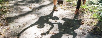 [ID: zkRfEYCL5AU] Youtube Automatic