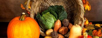 [ID: 9BkzpTTGBXk] Youtube Automatic