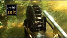 Privat: [ID: AMMeuOg6wRg] Youtube Automatic