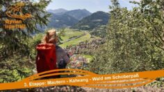 Privat: [ID: cdXDguObteA] Youtube Automatic