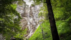 Privat: [ID: edmICjPXfKQ] Youtube Automatic