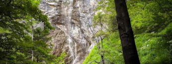 Privat: [ID: edmICjPXfKQ] Youtube Automatic