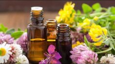 Privat: [ID: JjMsrJOMkYU] Youtube Automatic