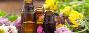 Privat: [ID: JjMsrJOMkYU] Youtube Automatic