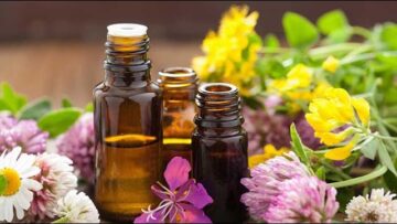 Privat: [ID: JjMsrJOMkYU] Youtube Automatic