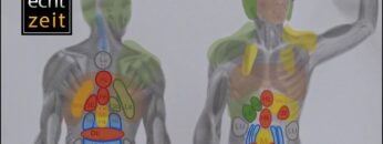 Privat: [ID: K5128XBMWcE] Youtube Automatic