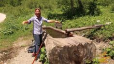 Privat: [ID: sVazfgTdnkQ] Youtube Automatic