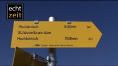 Privat: [ID: w5WYqCXImiE] Youtube Automatic