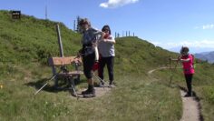 Privat: [ID: zpQDfPHiM9E] Youtube Automatic