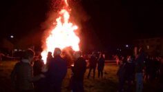 Privat: [ID: pvu-foV_TCI] Youtube Automatic