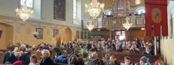 Privat: [ID: t_4TsUTND6s] Youtube Automatic