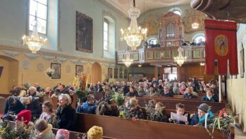 Privat: [ID: t_4TsUTND6s] Youtube Automatic