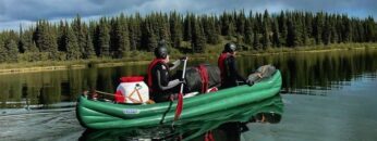 Privat: [ID: dseuhwpxY-c] Youtube Automatic