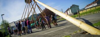 Privat: [ID: DWIthkAsB_M] Youtube Automatic