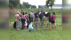 Privat: [ID: 8PHpvhM3OBM] Youtube Automatic