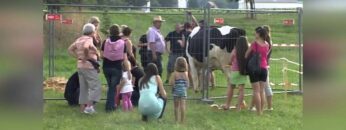 Privat: [ID: 8PHpvhM3OBM] Youtube Automatic