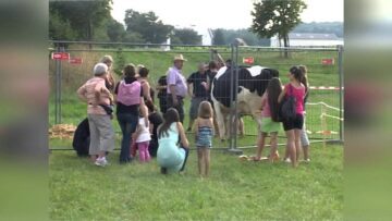 Privat: [ID: 8PHpvhM3OBM] Youtube Automatic