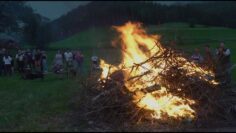 Privat: [ID: 9VO0qTzl03c] Youtube Automatic