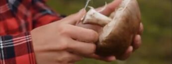 Privat: [ID: R0k1v4GN6qA] Youtube Automatic