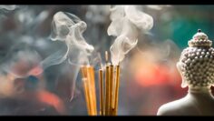 Privat: [ID: Yf8WJ3pLo5g] Youtube Automatic