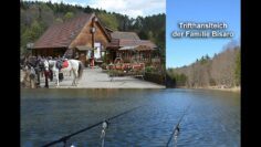 Privat: [ID: zGTt-zv52is] Youtube Automatic