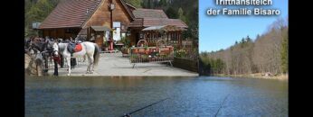 Privat: [ID: zGTt-zv52is] Youtube Automatic