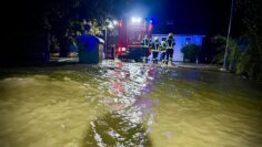 Privat: [ID: 3nXBs6WgPdA] Youtube Automatic