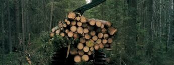 Privat: [ID: RG9CROOYjPE] Youtube Automatic