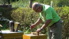 Privat: [ID: tURSY1jjzbw] Youtube Automatic