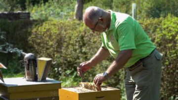 Privat: [ID: tURSY1jjzbw] Youtube Automatic