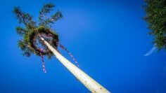 Hoffest der Landjugend St. Michael