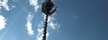 Maibaumaufstellen in Tragöß-St.Katharein