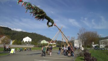 Maibaumaufstellen mit dem Trachtenverein Liesingtaler