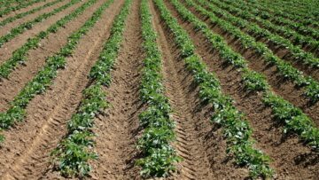 SPAR und Demeter gehen Partnerschaft ein